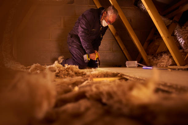Best Cellulose Insulation in Riverview, MO